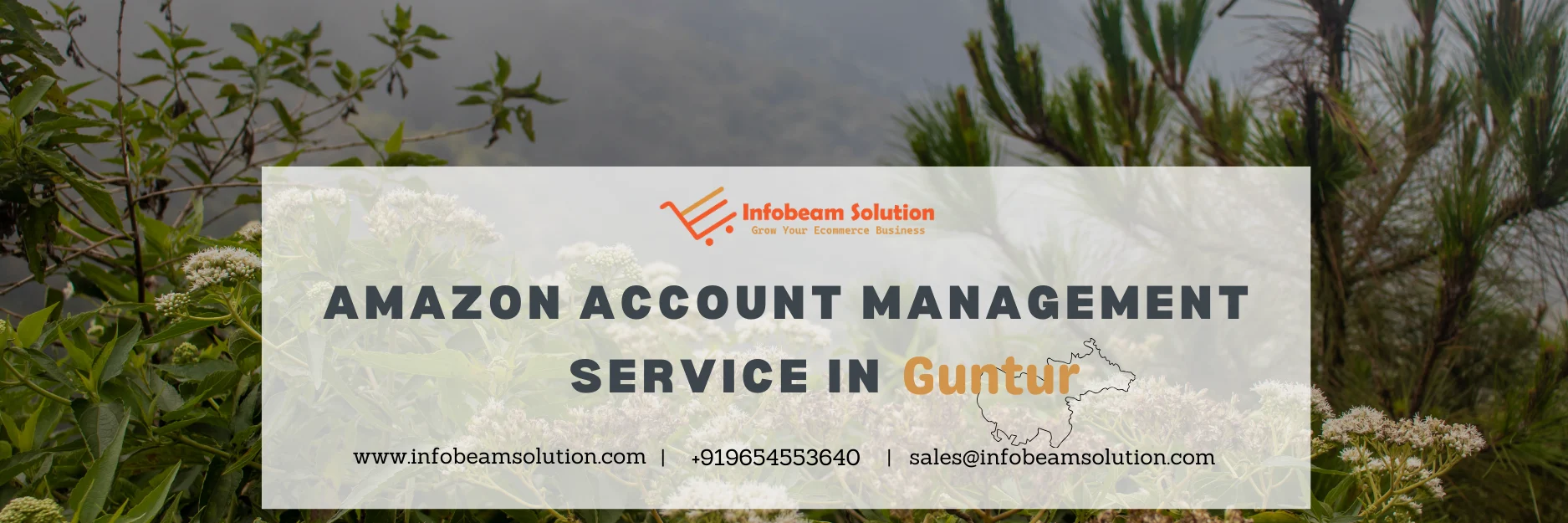 Amazon Account Management Service In Guntur, Infobeam Solution