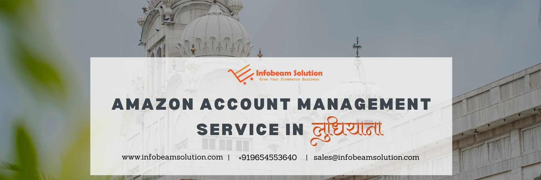 Amazon Account Management Service In Ludhiana, Infobeam Solution