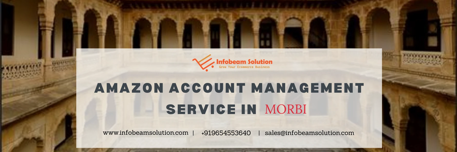 Amazon Account Management Services In Morbi, Infobeam Solution