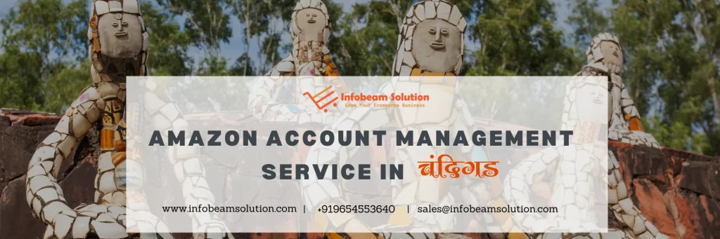 Amazon account management service in Chandigarh by Infobeam Solution