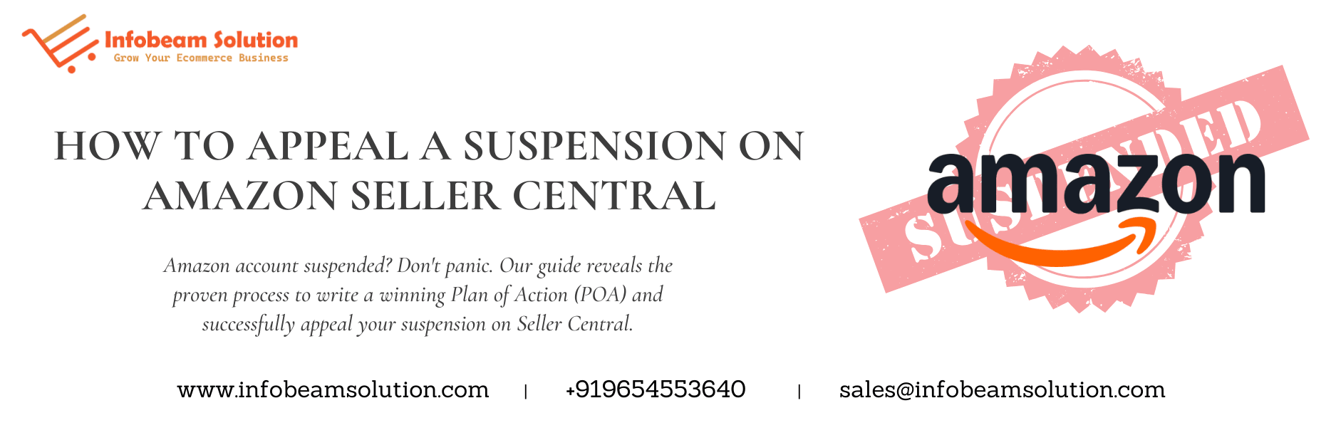 How To Appeal A Suspension On Amazon Seller Central, Infobeam Solution
