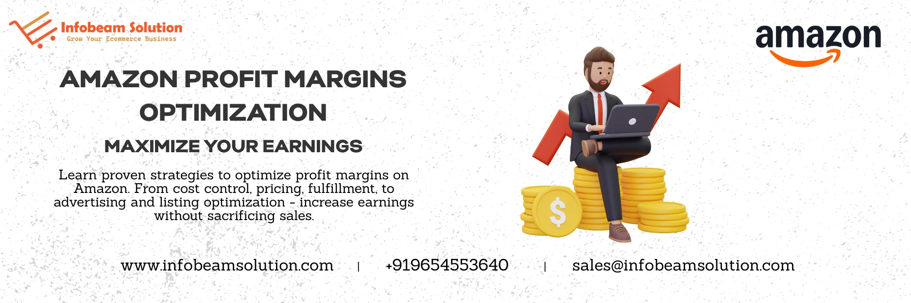 Amazon Profit Margins Optimization, Infobeam Solution