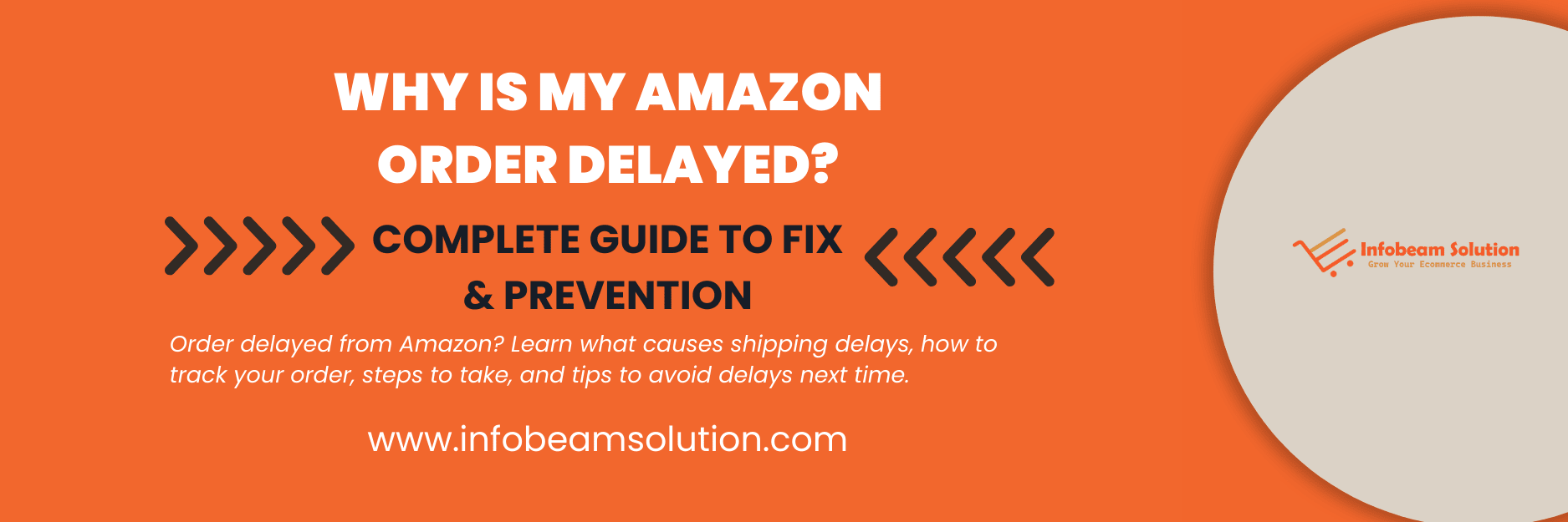 Why Is My Amazon Order Delayed, Infobeam Solution